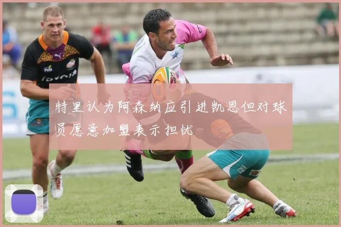 特里认为阿森纳应引进凯恩但对球员愿意加盟表示担忧