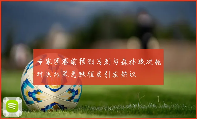 专家团赛前预测马刺与森林狼次轮对决结果悬殊程度引发热议